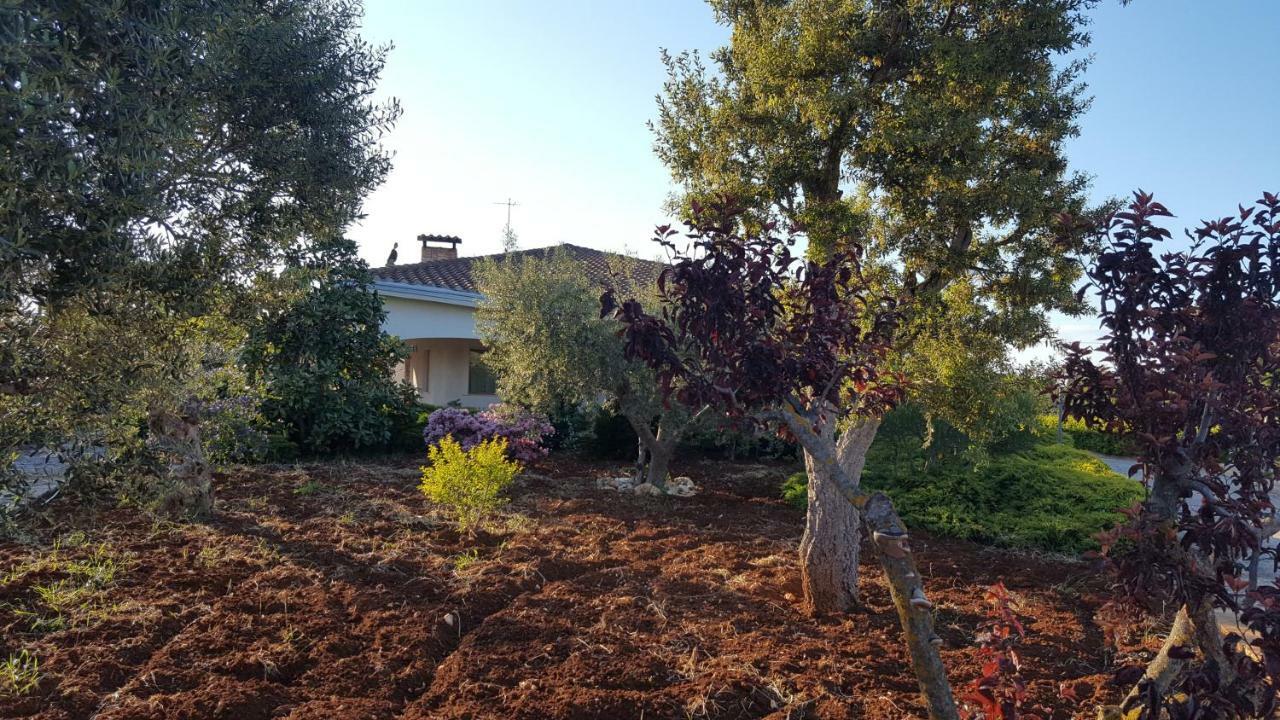Villa La Civetta Rodonisa Conversano Exterior foto